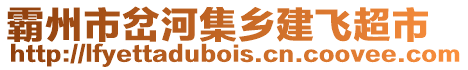 霸州市岔河集鄉(xiāng)建飛超市