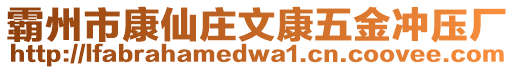 霸州市康仙莊文康五金沖壓廠