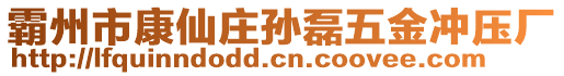 霸州市康仙莊孫磊五金沖壓廠