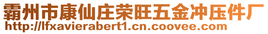 霸州市康仙莊榮旺五金沖壓件廠