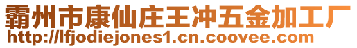 霸州市康仙莊王沖五金加工廠