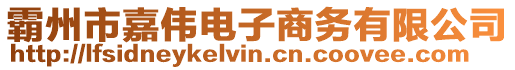 霸州市嘉偉電子商務(wù)有限公司