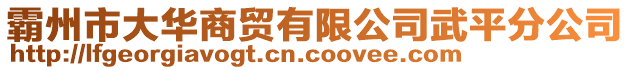 霸州市大華商貿(mào)有限公司武平分公司