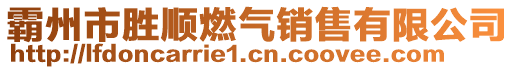 霸州市勝順燃?xì)怃N售有限公司