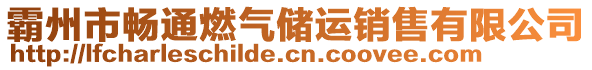 霸州市暢通燃氣儲運銷售有限公司