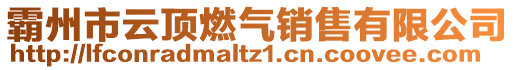 霸州市云頂燃?xì)怃N(xiāo)售有限公司