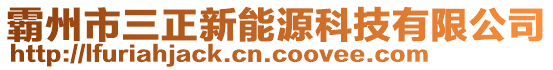 霸州市三正新能源科技有限公司