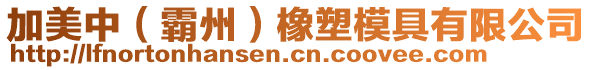 加美中(霸州)橡塑模具有限公司
