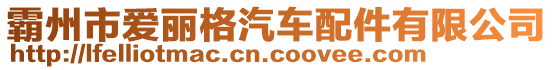 霸州市愛麗格汽車配件有限公司