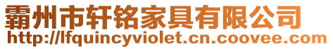 霸州市軒銘家具有限公司