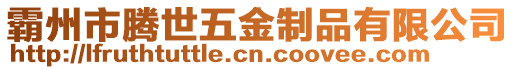 霸州市騰世五金制品有限公司