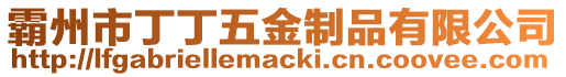 霸州市丁丁五金制品有限公司