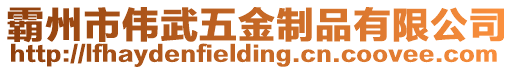 霸州市偉武五金制品有限公司