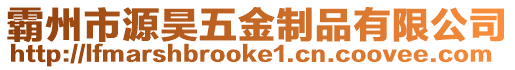 霸州市源昊五金制品有限公司