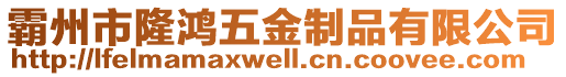 霸州市隆鴻五金制品有限公司