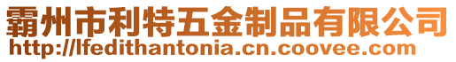 霸州市利特五金制品有限公司