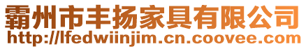 霸州市豐揚家具有限公司