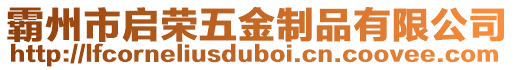 霸州市啟榮五金制品有限公司
