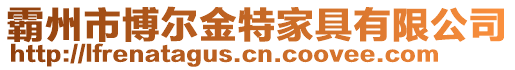 霸州市博爾金特家具有限公司