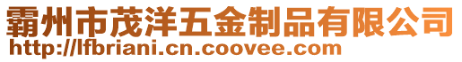 霸州市茂洋五金制品有限公司