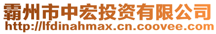 霸州市中宏投資有限公司