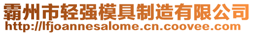 霸州市輕強(qiáng)模具制造有限公司