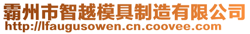 霸州市智越模具制造有限公司