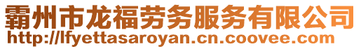 霸州市龍福勞務服務有限公司