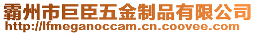 霸州市巨臣五金制品有限公司