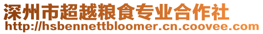 深州市超越糧食專業合作社