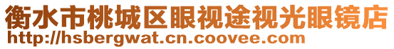 衡水市桃城區眼視途視光眼鏡店