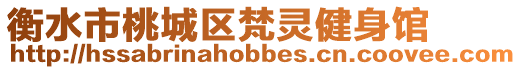衡水市桃城區梵靈健身館