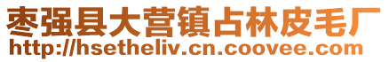 棗強縣大營鎮占林皮毛廠