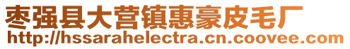棗強縣大營鎮惠豪皮毛廠