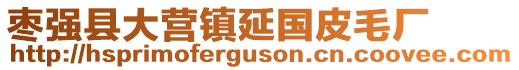 棗強縣大營鎮(zhèn)延國皮毛廠