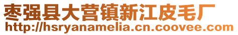 棗強縣大營鎮新江皮毛廠