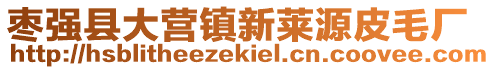 棗強縣大營鎮新萊源皮毛廠