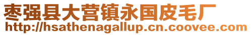 棗強(qiáng)縣大營(yíng)鎮(zhèn)永國(guó)皮毛廠