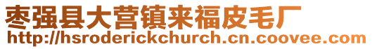 棗強(qiáng)縣大營鎮(zhèn)來福皮毛廠