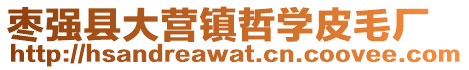 棗強(qiáng)縣大營(yíng)鎮(zhèn)哲學(xué)皮毛廠