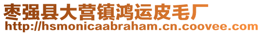 棗強(qiáng)縣大營鎮(zhèn)鴻運(yùn)皮毛廠
