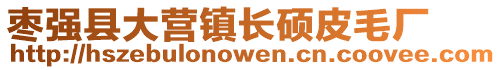 棗強(qiáng)縣大營鎮(zhèn)長碩皮毛廠