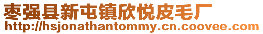 棗強縣新屯鎮欣悅皮毛廠