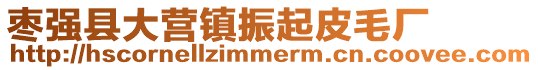 棗強(qiáng)縣大營鎮(zhèn)振起皮毛廠
