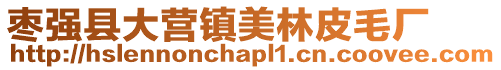 棗強縣大營鎮美林皮毛廠