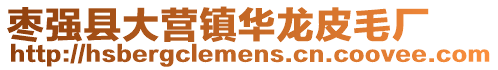 棗強縣大營鎮華龍皮毛廠