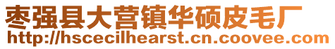 棗強縣大營鎮華碩皮毛廠
