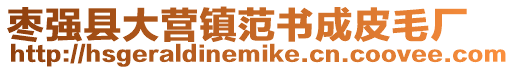 棗強縣大營鎮范書成皮毛廠