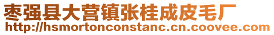 棗強縣大營鎮張桂成皮毛廠