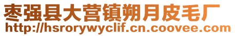 棗強縣大營鎮朔月皮毛廠